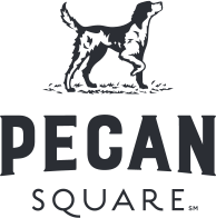 logo-pecan-square-footer